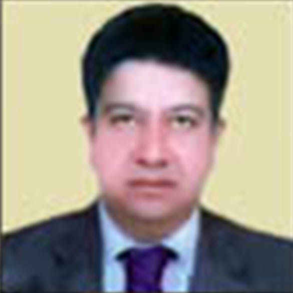 Alaa Burhan
