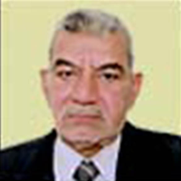 Jawad Burhan