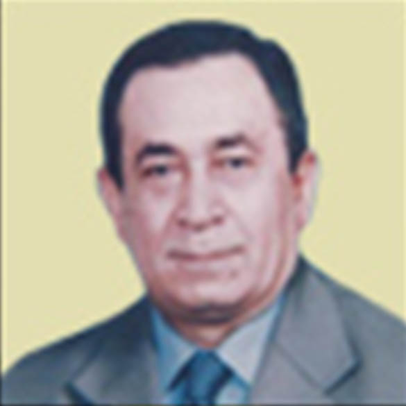 Prof. Khalil Al-Ali